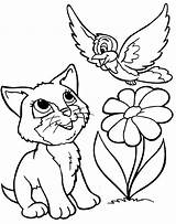 Coloring Pages Cats Cat Printable Kids Color Colouring Dogs Animal Girls Kitten sketch template