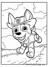 Patrol Pawpatrol Iheartcraftythings Pup Browns sketch template