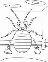 Coloring Pages Bed Bug Insects Ring Insect Abstract Color sketch template