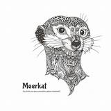 Coloring Adult Mandala Meerkat Animals Small Owl sketch template