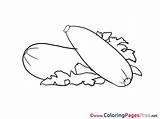 Coloring Pages Zucchini Sheet Title sketch template