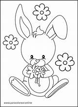 Conejos Bosque Pascua Conejo Floresta Animais Selva Flores Paracolorear sketch template