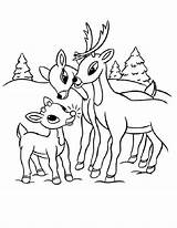 Rentier Reindeer Rudolph Ausmalbilder Familie Coloringhome Malvorlagen sketch template