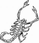 Coloring Pages Scorpions Super Clipartbest Clipart sketch template