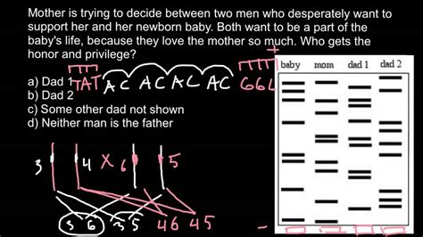 dna paternity testing theory explaned youtube