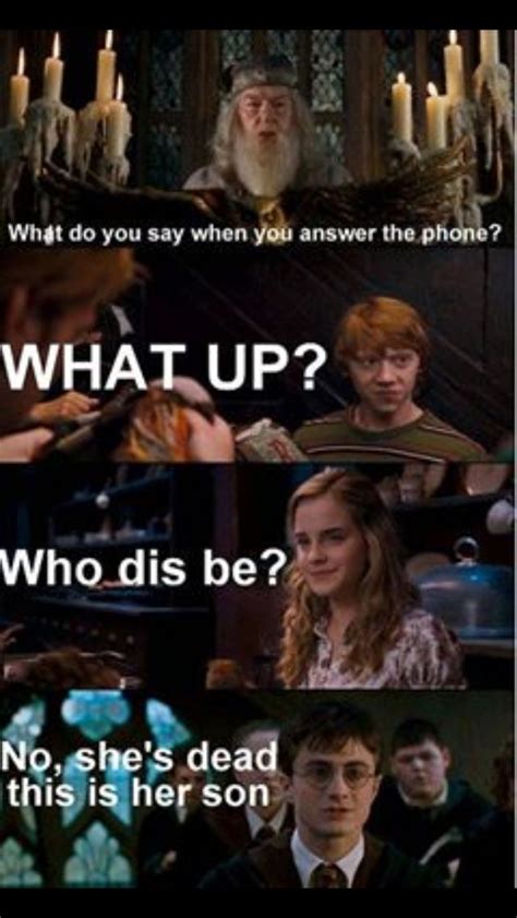 harry potter world harry potter funny pictures harry potter quotes