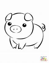 Cerdos Cerdo Animados Chibi sketch template