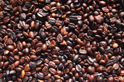bagaimana penyangraian biji kopi  mempengaruhi cita rasa  kopi kompasianacom