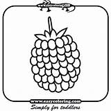 Coloring Fruits Raspberry Pages Easy Simple Toddlers Print Medium sketch template