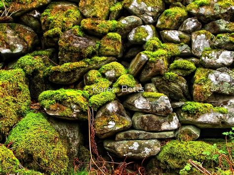 stone wall covered  moss  karen betts redbubble