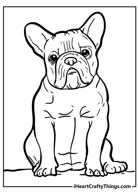 fluffy dog coloring pages    god  bad   anglian