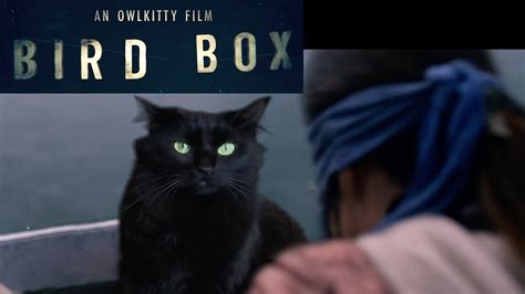 bird box starring my cat owlkitty youtube