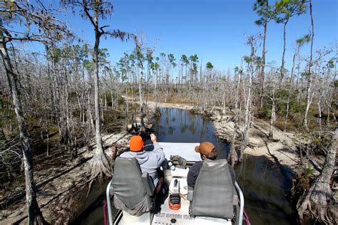 Swamp Buggy Rides In Swfl 88 365 Things To Do