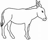 Donkey Pages Coloring Color Template sketch template