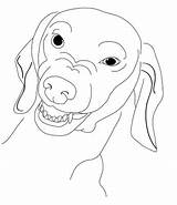 Coloring Dog Dachshund Weiner sketch template