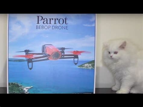 parrot bebop unboxing setup youtube