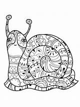 Snail Zentangle Coloring4free sketch template