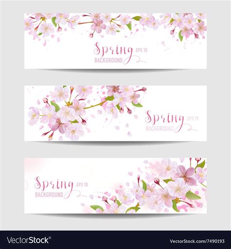 spring flower banner set cherry blossom tree vector image