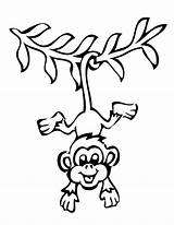 Monkey Hanging Template Printable Smiling Coloring Monkeys Clipart sketch template