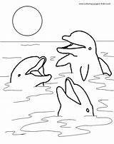 Coloring Pages Dolphins Printable Dolphin Animal Color Kids Sheets Moonlight Found Print Heads sketch template