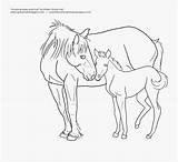 Foal Lineart Clipartkey sketch template