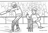 Cricket Malvorlage Malvorlagen Kostenlose Angebot Anklicken Bildes öffnet Setzt Unser Kinder sketch template