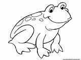 Coloring Frog Preschool Pages Jumping Drawing Color Easy Clipart Frogs Cartoon Printable Preschoolers Colouring Animals Patterns Animal Leaping Realistic Ocean sketch template