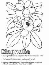 Mississippi Coloring State Pages Colouring Symbols Magnolia Print sketch template