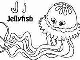 Jellyfish Coloringonly sketch template