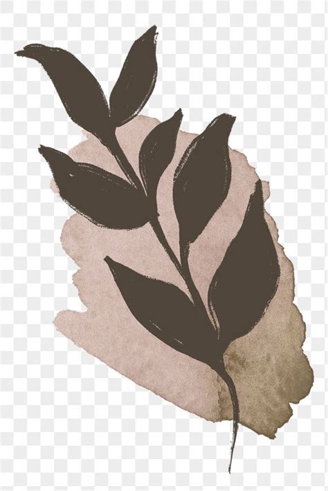 vintage leaf png botanical illustration  brushstroke design
