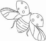 Planse Colorat Insecte Buburuze Salvat sketch template