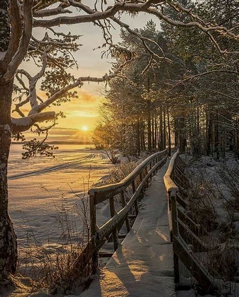 travelnaturephotos on instagram “landön sweden source