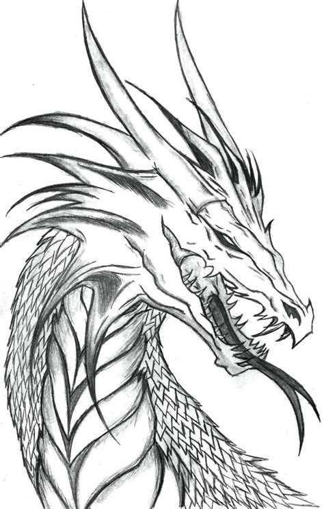 dragon outline drawing  getdrawings