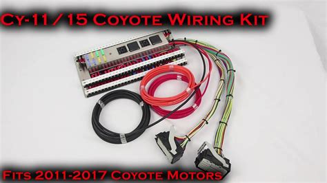 ford  coyote telorvek wiring kit  cy  youtube