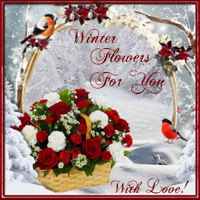 winter flowers    friends family ecards greeting cards