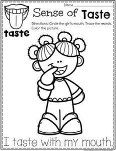 senses  senses preschool senses preschool preschool coloring