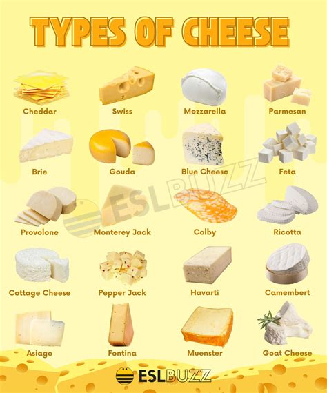 types  cheese amazing cheese types  cheese lovers eslbuzz
