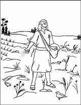 Coloring Parable Seed Mustard Pages Sower Lessons sketch template