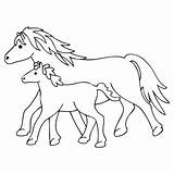 Fohlen Malvorlage Pferd Pferde Malvorlagen Einhorn Windowcolor Marabu Printables Applikation Basteln Applikationen Kreativ Pony Besuchen Malbild Entdecke sketch template