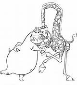 Madagascar Coloring Pages Melman sketch template