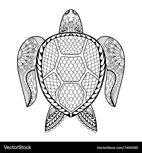 hand drawn sea turtle  adult coloring pages  vector image