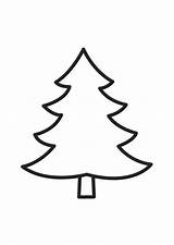 Tree Fir Coloring Large sketch template