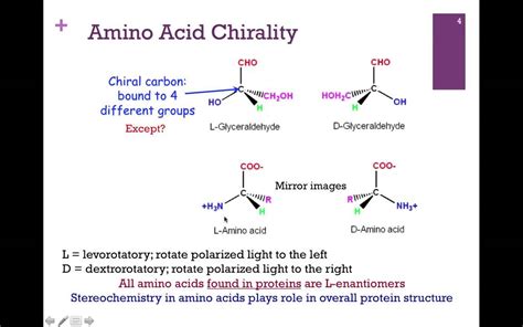 amino acid structurehydrophobic amino acids youtube