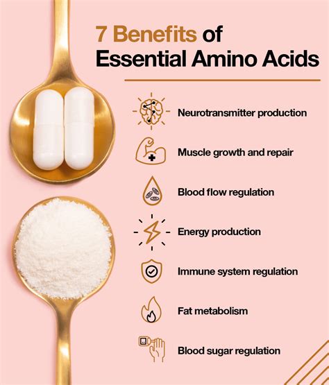 Do You Need To Take Amino Acid Supplements – The Amino Company