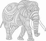 Coloring Colouring Pages Elephant Adults Adult Cool Choose Board Animal sketch template