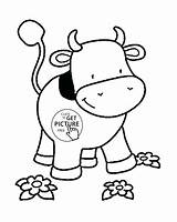 Coloring Cow Baby Pages Cows Printable Getcolorings Cute Color sketch template