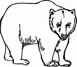 Bear Grizzly Angry Outline Coloring Clipart Printable Drawing Pages Clipartbest Designs Cliparts Pencil Getdrawings Clipartmag Getcolorings sketch template