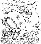 Whale Jonah Coloring Sperm Stomach Color Getcolorings Pages Printable Netart Print sketch template