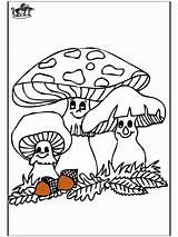 Pilze Herbst Fungi Herfst Paddenstoelen Colorare Anzeige Kleurplaten Automne Outono Autunno Advertentie Publicité Publicidade Pubblicità sketch template
