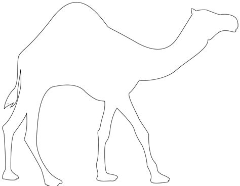 dromedary camel silhouette  vector silhouettes